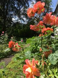 Learn how to create your own. Ein Garten Zum Tag Des Gartens Am 14 Juni Blogs Im Seniorentreff