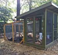 4 Farm-Fresh Chicken Coops in Urban Backyards
