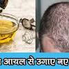 Check 'oil' translations into hindi. 1