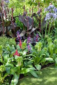 Beste 25 Arten Von Exotischen Tropischen Blumen Fur Ihr Zuhause Und Garten Arten Beste Blumen Tropical Landscaping Tropical Garden Design Tropical Garden