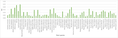 Image result for Erythrococca atrovirens