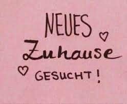 Etagenwohnung mieten in osnabrück, 53 m² wohnfläche, 1 zimmer. Wohnung Oder Haus Gesucht In Niedersachsen Osnabruck Ebay Kleinanzeigen