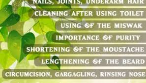 Pubic hair removal has become quite a trend the whole process of removing bikini line hair could be quite complicated. Questions Regarding Shaving The Pubic Hair Islamicanswers Com Islamic Advice