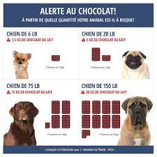 Cet aliment très apprécié par les humains est souvent bénéfique, contient de la théobromine qui, à forte dose, peut déclencher de graves problèmes cardiaques, respiratoires et. Aliments A Ne Pas Donner A Son Chien On Va Se Promener