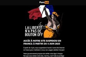 Major blow to Pornhub as Frances highest court re-introduces age  verification - Euractiv