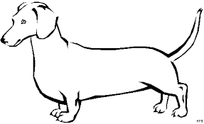 Kleiner Dackel 2 Ausmalbild Malvorlage Tiere