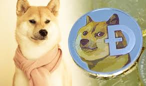 Shiba inu is listed on 11 exchanges with a sum of 11 active markets. Dogecoin Price Breaks Record High Again As Gemini And Etoro Adopt Doge Meme Coin City Business Finance Express Co Uk