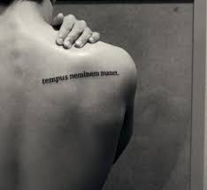 Log In Phrase Tattoos Latin Quote Tattoos Latin Tattoo