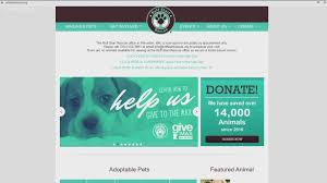 If you are interested in adopting any of the available dogs on this page, please fill out an adoption application. Ruff Start Rescue Ready To Raise Funds Kare11 Com