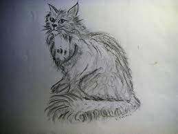 chat a poils longs dessin au crayon peinture pour les enfants nouvel an coloriage eventaf
