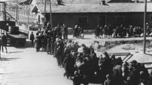 Aug 15, 2019 · vor 80 jahren: 70 Jahrestag Die Tage Vor Der Befreiung Von Auschwitz