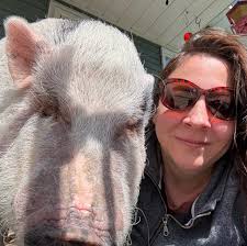 Hasselback stuffed chicken Dinner for 2 Recipe in the comments❤️