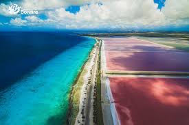 Things to do in bonaire, caribbean: Tourism Corporation Bonaire Linkedin