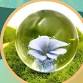 Make Your Own Spring Flower Marble