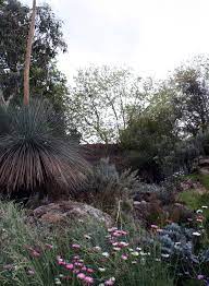 Winning Australian Garden Australian Garden Australian Garden Design Australian Native Plants