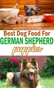German Shepherd Puppies In 2020 Shepherd Puppies German Shepherd Puppies Best Dog Food