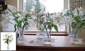 15 things to buy at aldi. This 3 29 Bunch Of Lillies From Lidl Lasts As Long And Looks As Good As More Expensive Options Daily Mail Online