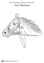 page 8 sur 30 hugolescargot com coloriage cheval dessin de chaussures