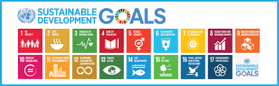 Promote sustained, inclusive and sustainable economic growth, full and productive employment and decent work for all. The Sdg India Index And Dashboard 2019 Indicates Where India And Its States And Uts Currently Are On Sdg Implementation And Charts The Distance To Be Travelled To Reach The Sdg Targets