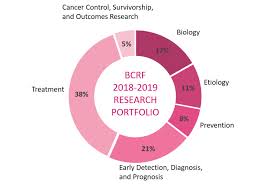 Research Portfolio Pie Chart 2018 2019 Play For P I N K