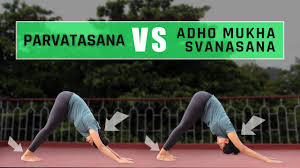 Check spelling or type a new query. Difference Between Parvatasana And Adho Mukha Svanasana Yoga For Cure Yoga For Beginners Youtube