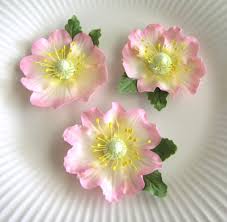 We did not find results for: Pink Briar Rose Gum Paste Flowers Edible Cake Topper And Etsy Gum Paste Flowers Gum Paste Edible Cake Toppers