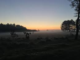 Your leersumse veld stock images are ready. Vlak Voor Zonsopgang Op Het Leersumse Veld 05 00 Vanochtend Thenetherlands