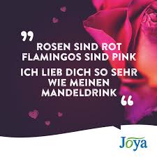 Welcome To Joya Rosen Sind Rot Flamingos Rosen