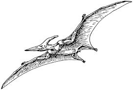 Ook zijn er dinosaurussen die in het water leefden en vliegende reptielen pterosauriërs. 73 Dinosaurussen Kleurplaten Gratis Kleurplaten Om Te Printen Pagina 2