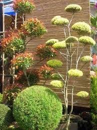 Deco Jardin Zen En 100 Idees Inspirantes Deco Jardin Zen Jardin Zen Deco Jardin