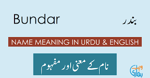 Click on the first link on a line below to go directly to a page where bundar is defined. Bundar Name Meaning Bundar Meaning Definition