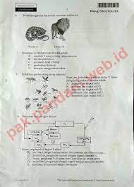 Check spelling or type a new query. Download Soal Un Biologi Sma Tahun Pelajaran 2014 2015 Paket Soal 2 Blog Pak Pandani