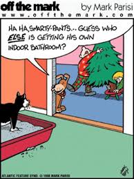 Cats follow you in the bathroom because you are in it. One Man S Funnies Dog Has His Own Indoor Toilet