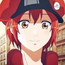 Hataraku Saibou Tumblr Anime Shows Anime Wallpaper Anime