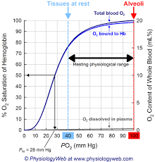 Physiology Graph Oxyhemoglobin Dissociation Curve Physiologyweb