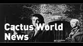 Movies, empty places where the past has been at 1 o'clock in the morning it's a totally different scene. Cactus World News Years Later Audio Youtube
