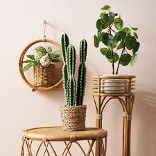 Target S Opalhouse Released Artificial Plants That Actually Look Real Faux Plants Decor Fake Plants Decor Plant Decor