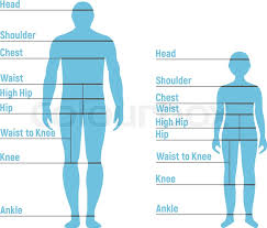 Man And Boy Size Chart Human Front Stock Vector