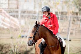 Springreiten ist eine disziplin des pferdesports, bei dem pferd und reiter einen aus mehreren hindernissen bestehenden parcours in einer festgelegten reihenfolge überwinden. Das Video Abschied Von Olympiasieger Nino Des Buissonnets