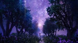 We did not find results for: Mystical Anime Night Sky