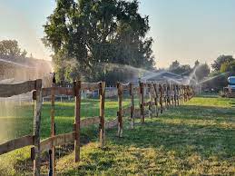 pferdeweide in viernheim robinie haltbar zaun