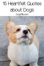 15 Inspirational Heartfelt Dog Quotes Dogvills Dog Quotes Cute Dog Quotes Dog Breeds Little