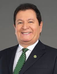 Embracing the Lion Experience