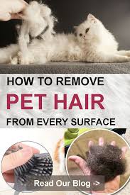 How To Remove Dog Hairs From Every Surface In 2020 Pet Hair Removal Cleaning Pet Hair Dog Hair Cleaning