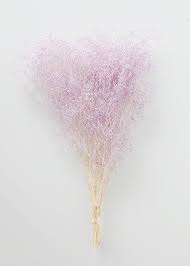 Preserved Baby S Breath In White Purple 1 Oz Bundle Etsy Bunga Cantik Bunga Buket Bunga