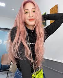 인스타 스토리를보고 다운로드하는 방법은 무엇입니까? ì‹œì‚¬ ì´ìŠˆ ìœ ë¨¸ í•œì˜ˆìŠ¬ ì¸ìŠ¤íƒ€ ì—…ëŽƒ