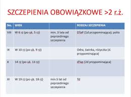 Szczepienia obowiązkowe są realizowane według ustalonego kalendarza u pacjentów. Kalendarz Szczepien Sprawdz Wazne Terminy Szczepionka Info