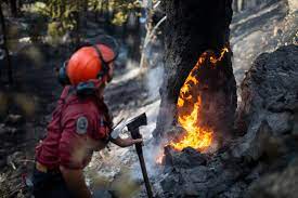 Mission fire rescue service is in mission, british columbia. What You Need To Know About B C S 2019 Wildfire Season So Far The Star