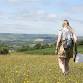 Wildflower Day | Diwrnod Blodau Gwyllt