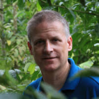 70+ 'Birch' profiles